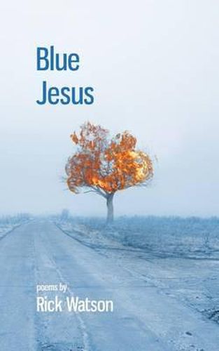 Cover image for Blue Jesus