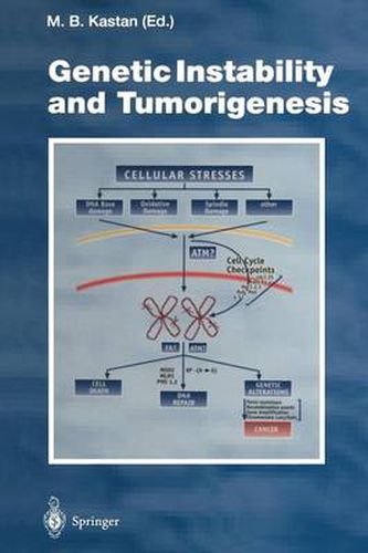 Cover image for Genetic Instability and Tumorigenesis