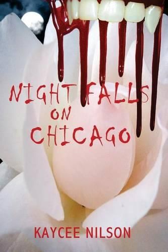 Cover image for Night Falls on Chicago