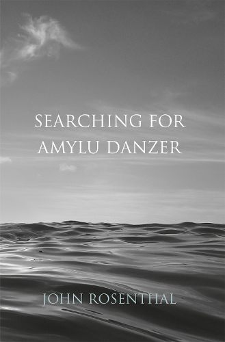 Cover image for Searching for Amyu Danzer