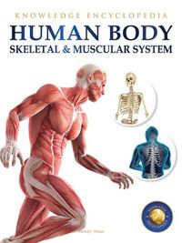 Cover image for Human Body