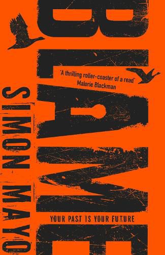 Cover image for Blame