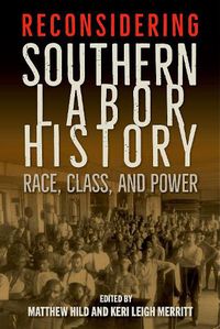 Cover image for Reconsidering Southern Labor History: Race, Class, and Power