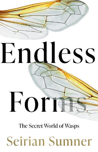 Cover image for Endless Forms: The Secret World of Wasps