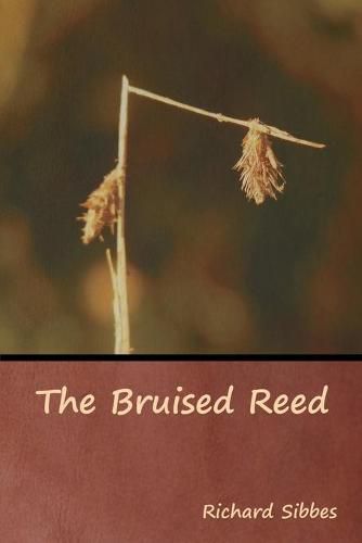 Cover image for The Bruised Reed