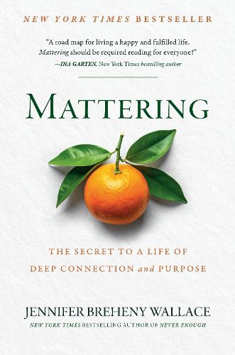 Cover image for Mattering