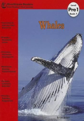 Cover image for Whales, Book 7