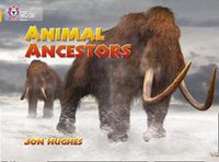 Cover image for Animal Ancestors: Band 09/Gold