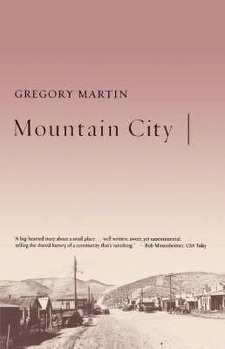 Cover image for Mountain City