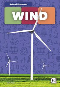 Cover image for Wind