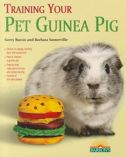 Cover image for Training Your Guinea Pig