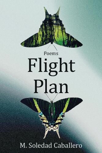 Cover image for Flight Plan