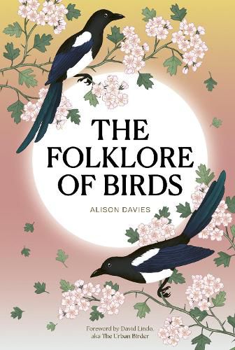 Cover image for The Folklore of Birds