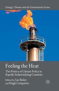 Cover image for Feeling the Heat: The Politics of Climate Policy in Rapidly Industrializing Countries