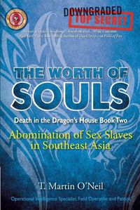 Cover image for The Worth of Souls