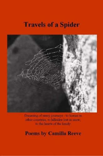 Cover image for Travels of a Spider