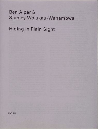 Cover image for Hiding in Plain Sight