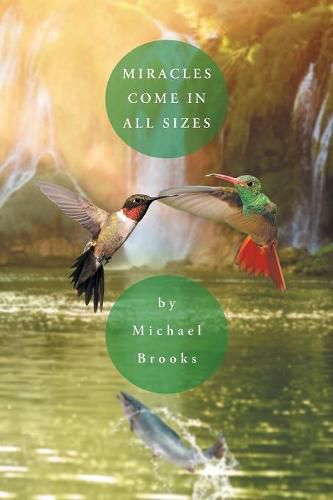 Cover image for Miracles Come in All Sizes