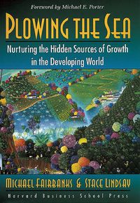 Cover image for Plowing the Sea: Nurturing the Hidden Sources of Growth in the Developing World