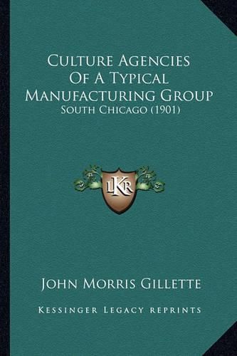 Cover image for Culture Agencies of a Typical Manufacturing Group: South Chicago (1901)
