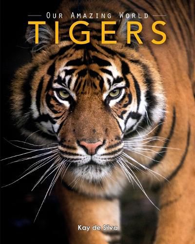 Cover image for Tigers: Amazing Pictures & Fun Facts on Animals in Nature