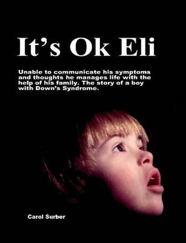 Cover image for it's Ok Eli