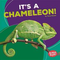 Cover image for It's a Chameleon!