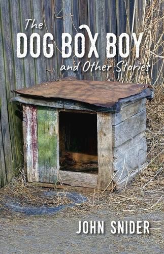 Cover image for The Dog Box Boy and Other Stories