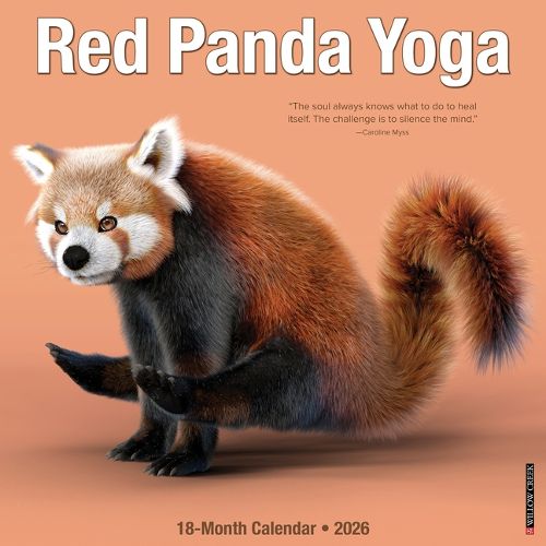 Cover image for Red Panda Yoga 12 X 12 Wall Calendar