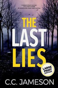 Cover image for The Last Lies