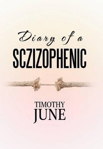 Cover image for Diary of a Schizophrenic