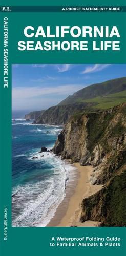 Cover image for California Seashore Life: A Waterproof Folding Guide to Familiar Animals & Plants