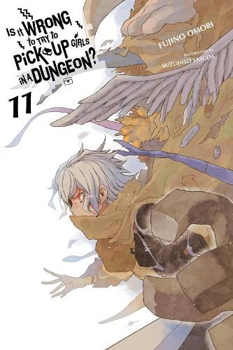 Cover image for Is It Wrong to Try to Pick Up Girls in a Dungeon?, Vol. 11 (light novel)