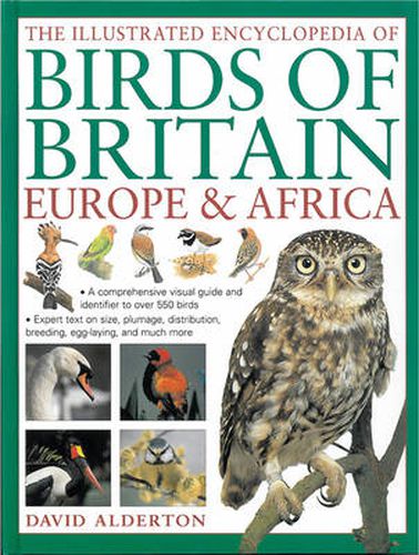 Cover image for The Illustrated Encyclopedia of Birds of Britain Europe & Africa: A Comprehensive Visual Guide and Identifier to Over 550 Birds