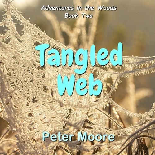 Cover image for Tangled Web