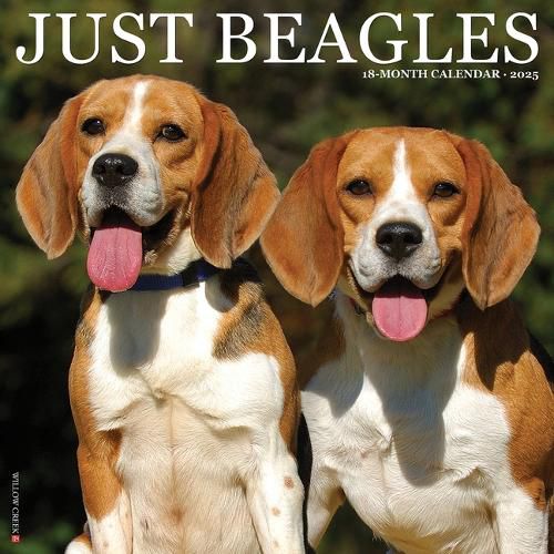 Cover image for Beagles 2026 12 X 12 Wall Calendar