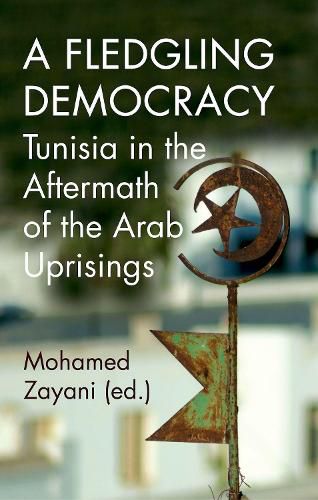 Cover image for A Fledging Democracy: Tunisia in the Aftermath of the Arab Uprisings