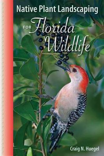 Cover image for Native Plant Landscaping For Florida Wildlife