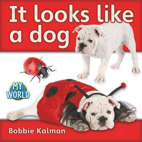 Cover image for It Looks Like a Dog