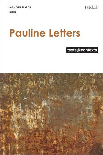 Cover image for Pauline Letters: Texts @ Contexts