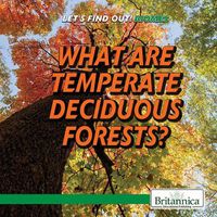 Cover image for What Are Temperate Deciduous Forests?