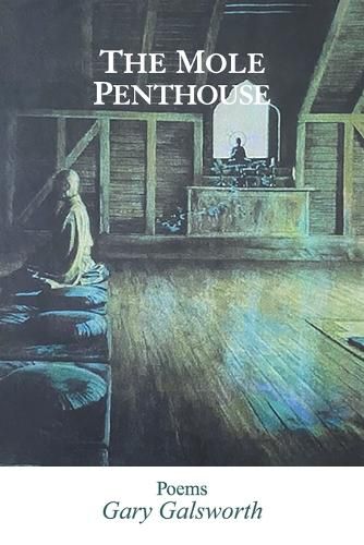 Cover image for The Mole Penthouse