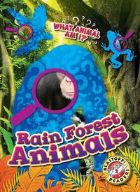 Cover image for Rain Forest Animals