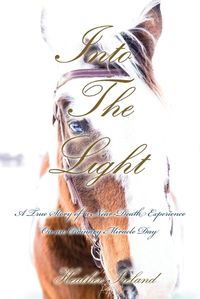 Cover image for Into The Light