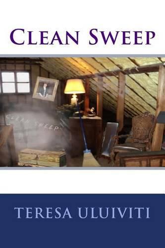 Cover image for Clean Sweep
