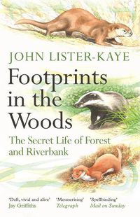 Cover image for Footprints in the Woods