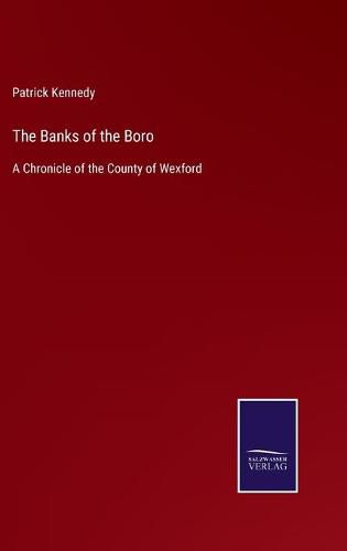 Cover image for The Banks of the Boro: A Chronicle of the County of Wexford