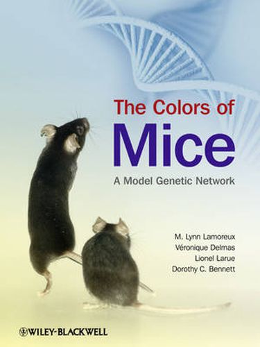 The Colors of Mice: A Model Genetic Network