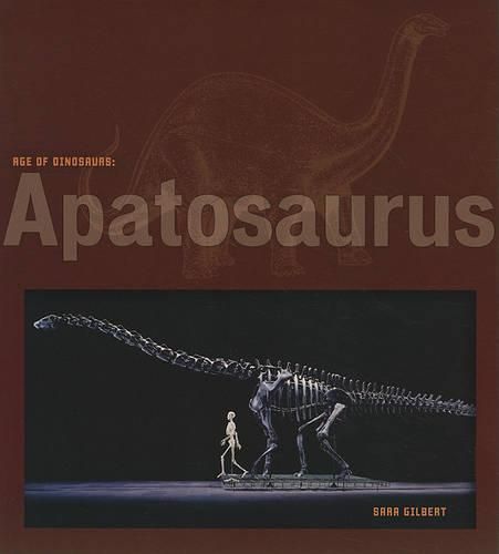 Cover image for Age of Dinosaurs: Apatosaurus