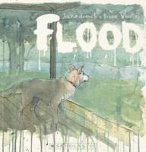 Cover image for Flood